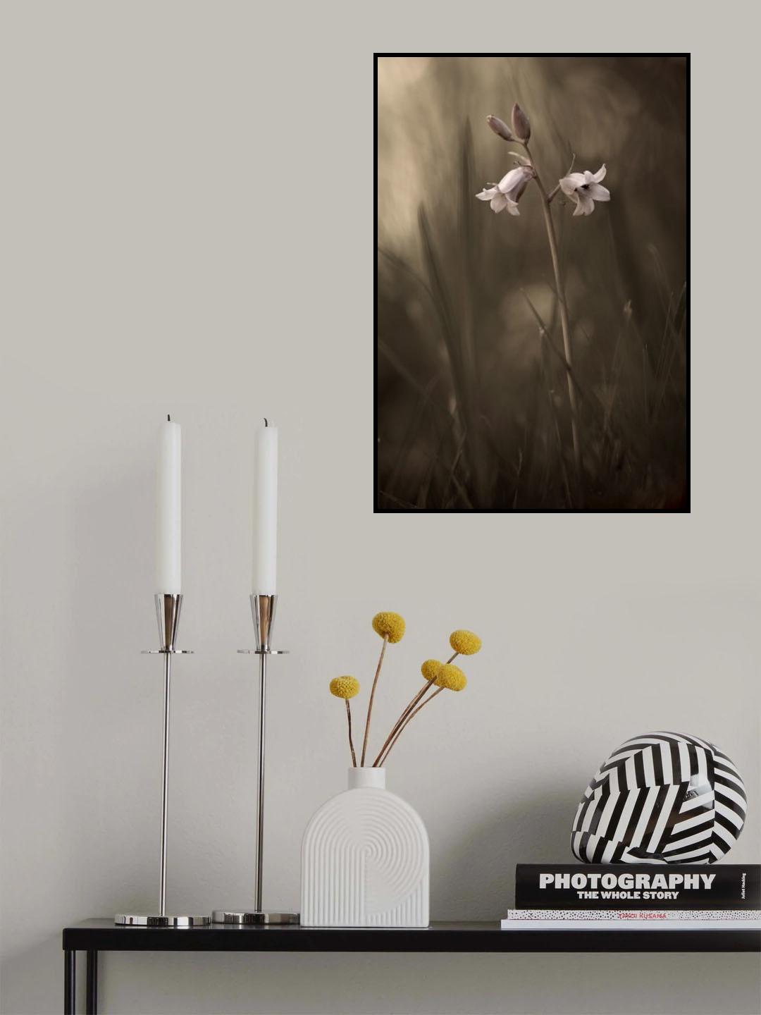 A small flower on the ground Poster och Canvastavla