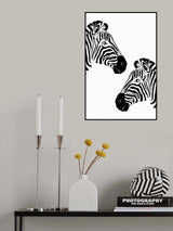 Two Zebras Poster och Canvastavla