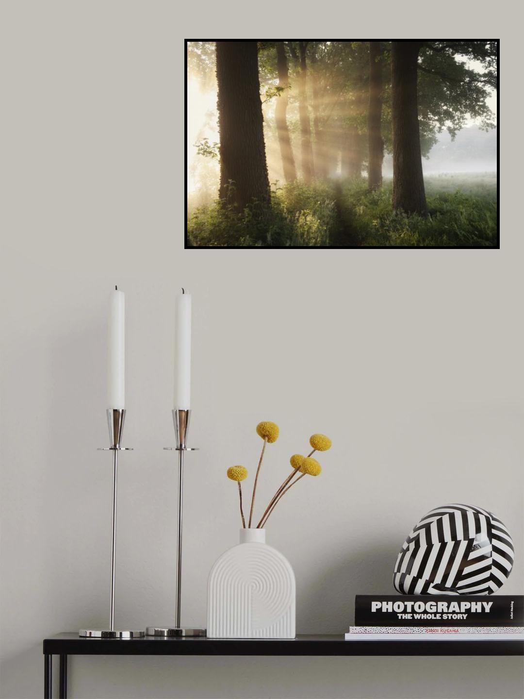 First day of summer Poster och Canvastavla
