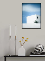 palm tree Poster och Canvastavla