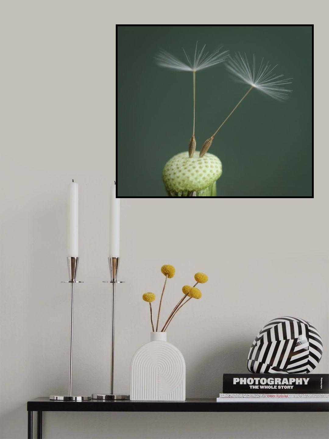 Dandelion Seed Poster och Canvastavla