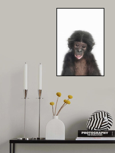 Baby Monkey Poster och Canvastavla