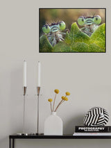 Side by side Poster och Canvastavla