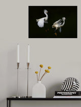 Chasing Poster och Canvastavla