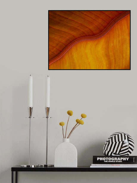 Yellow plus orange equals a leaf in late fall Poster och Canvastavla