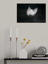 Take off Poster och Canvastavla