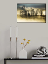 I see the light Poster och Canvastavla