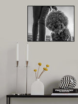 Poster och Canvastavla