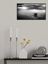 Walk free Poster och Canvastavla