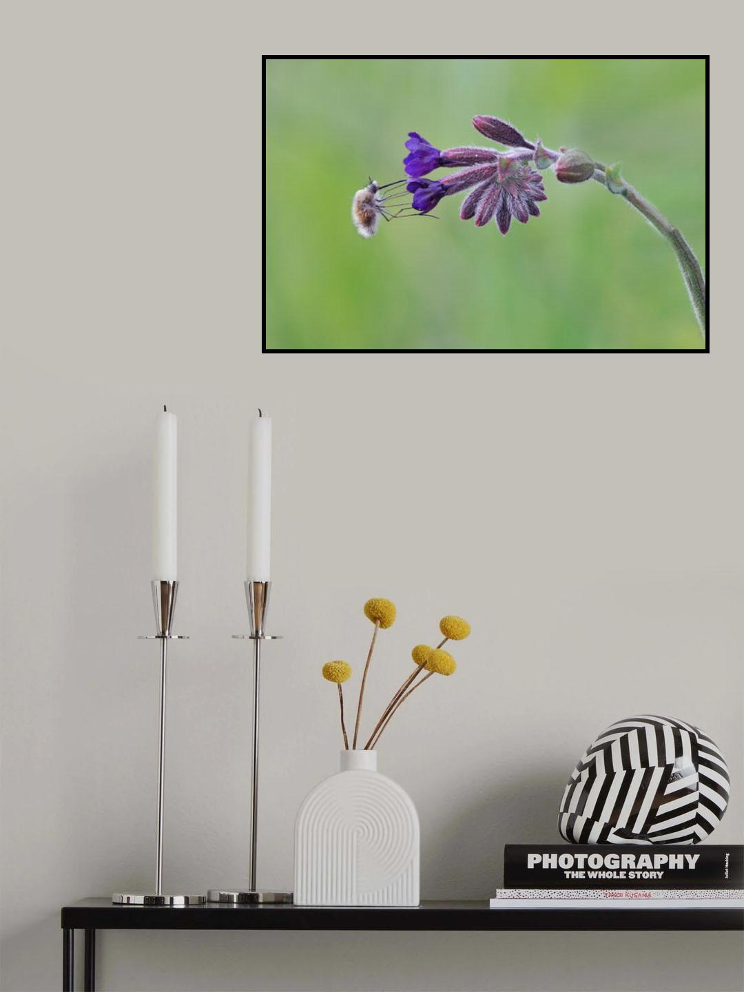 Poster och Canvastavla