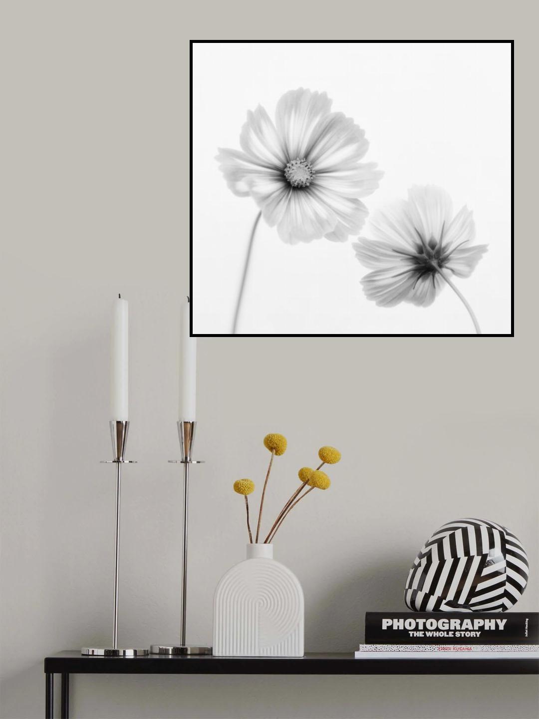 Cosmos duo Poster och Canvastavla