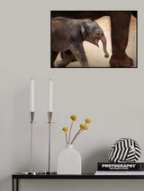 THE MAGIC OF WALKING Poster och Canvastavla