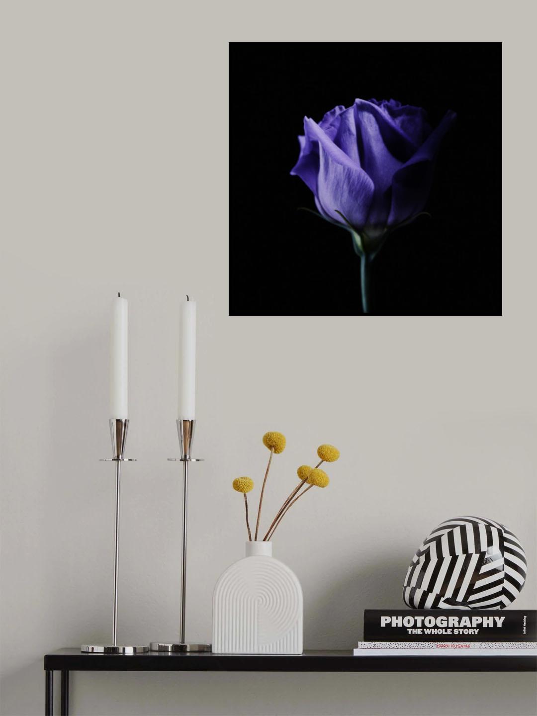 Shades of Purple Poster och Canvastavla