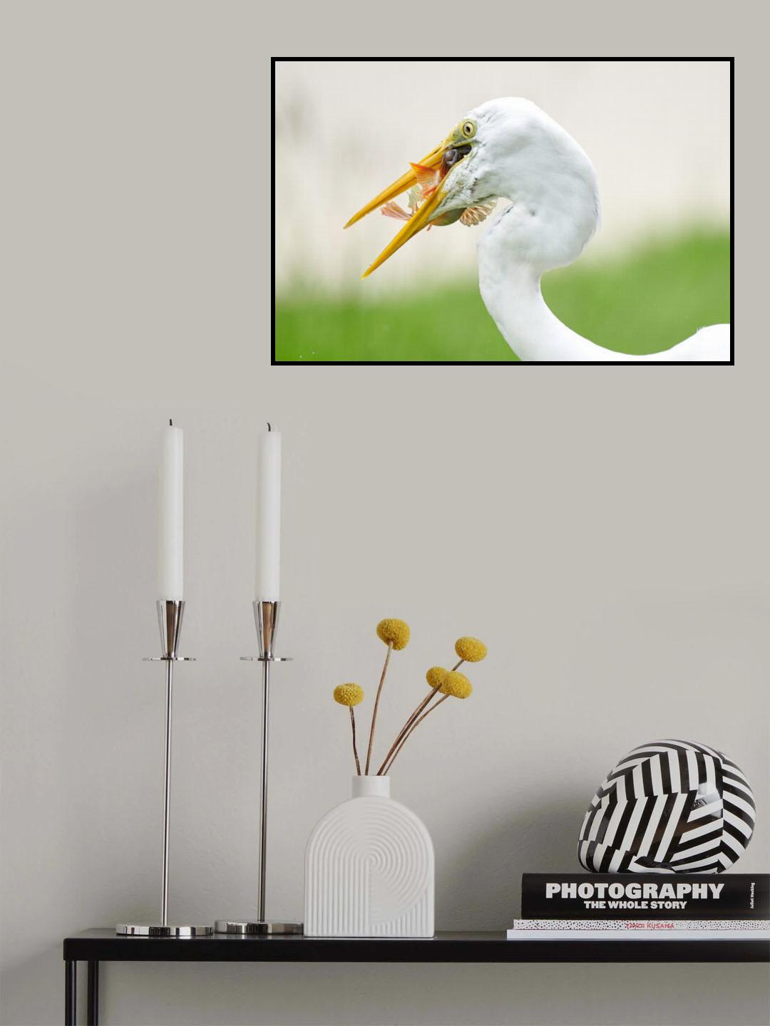 Hard to Swallow Poster och Canvastavla
