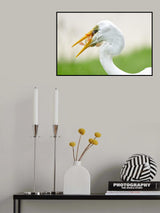 Hard to Swallow Poster och Canvastavla