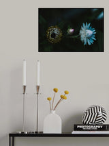 Process Poster och Canvastavla