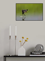 The Dancer Poster och Canvastavla