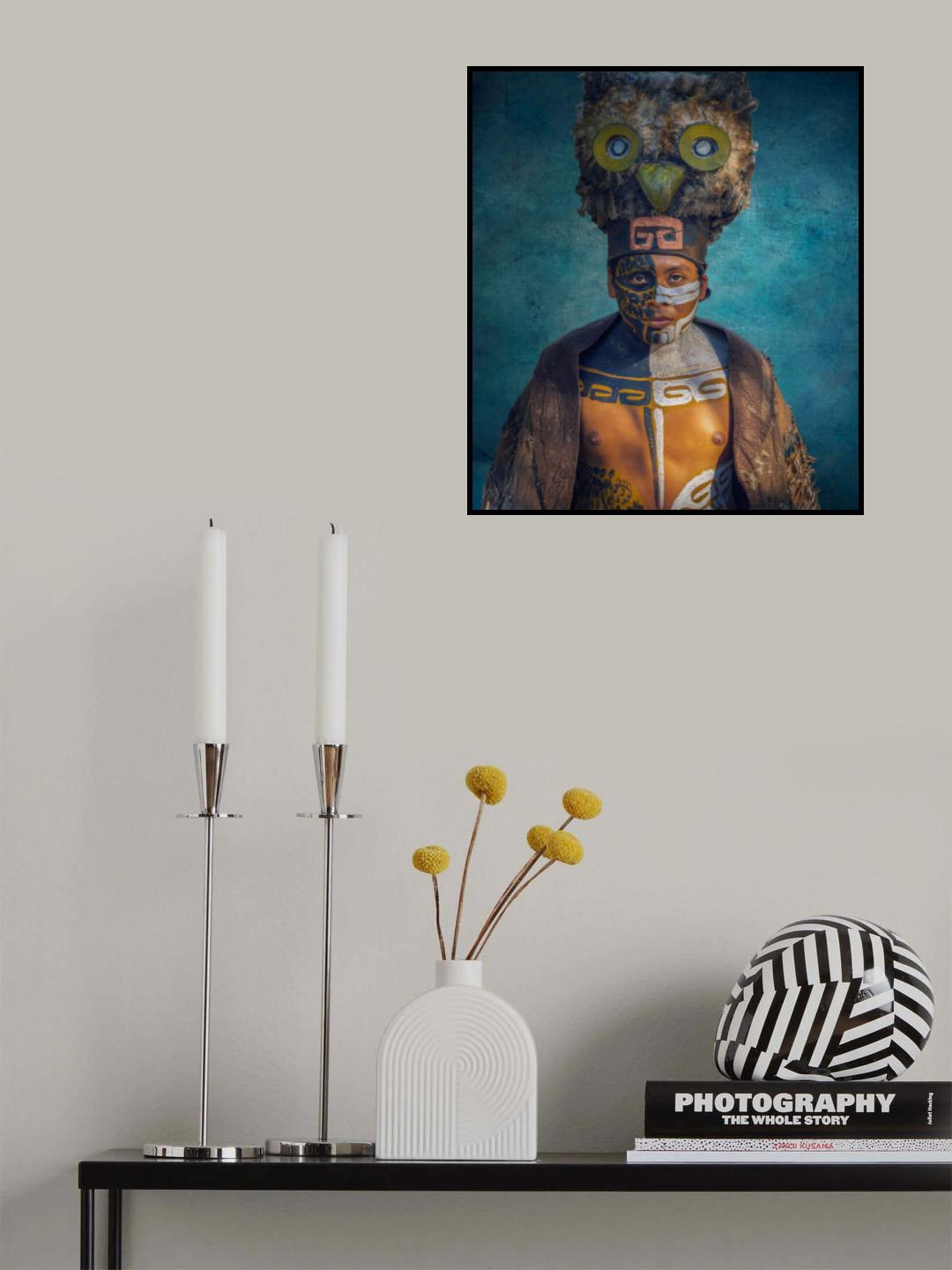 Mr Owl Poster och Canvastavla