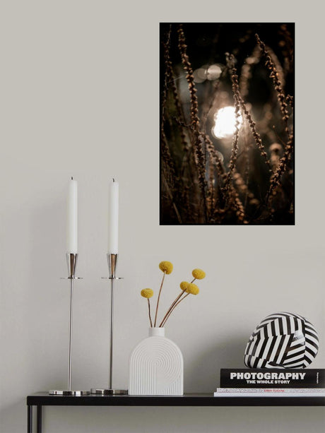 Autumn Lights 2 Poster och Canvastavla