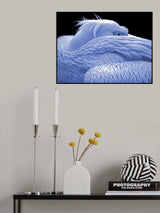 Blue twilight... Poster och Canvastavla