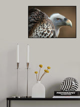 Vulture Poster och Canvastavla
