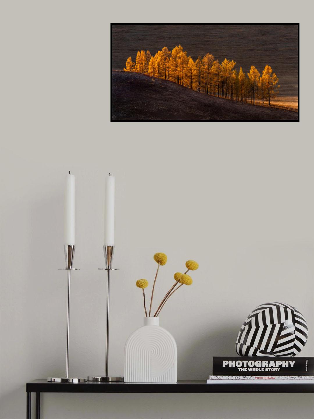 Sunset light Poster och Canvastavla