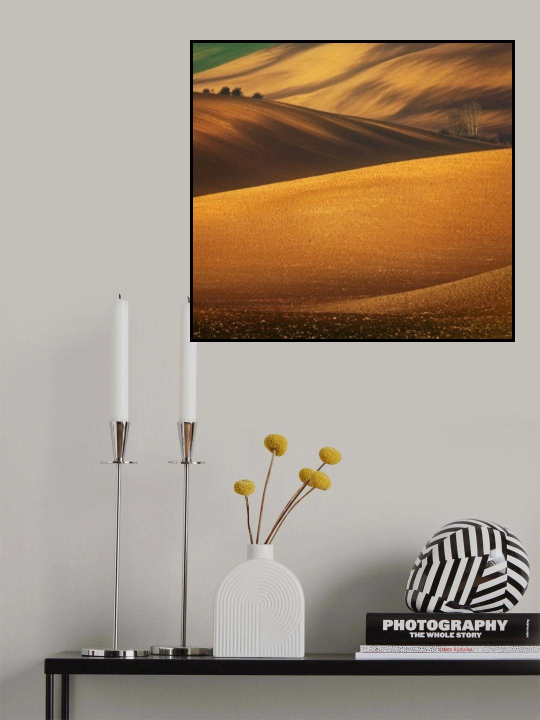 Moravian field... Poster och Canvastavla