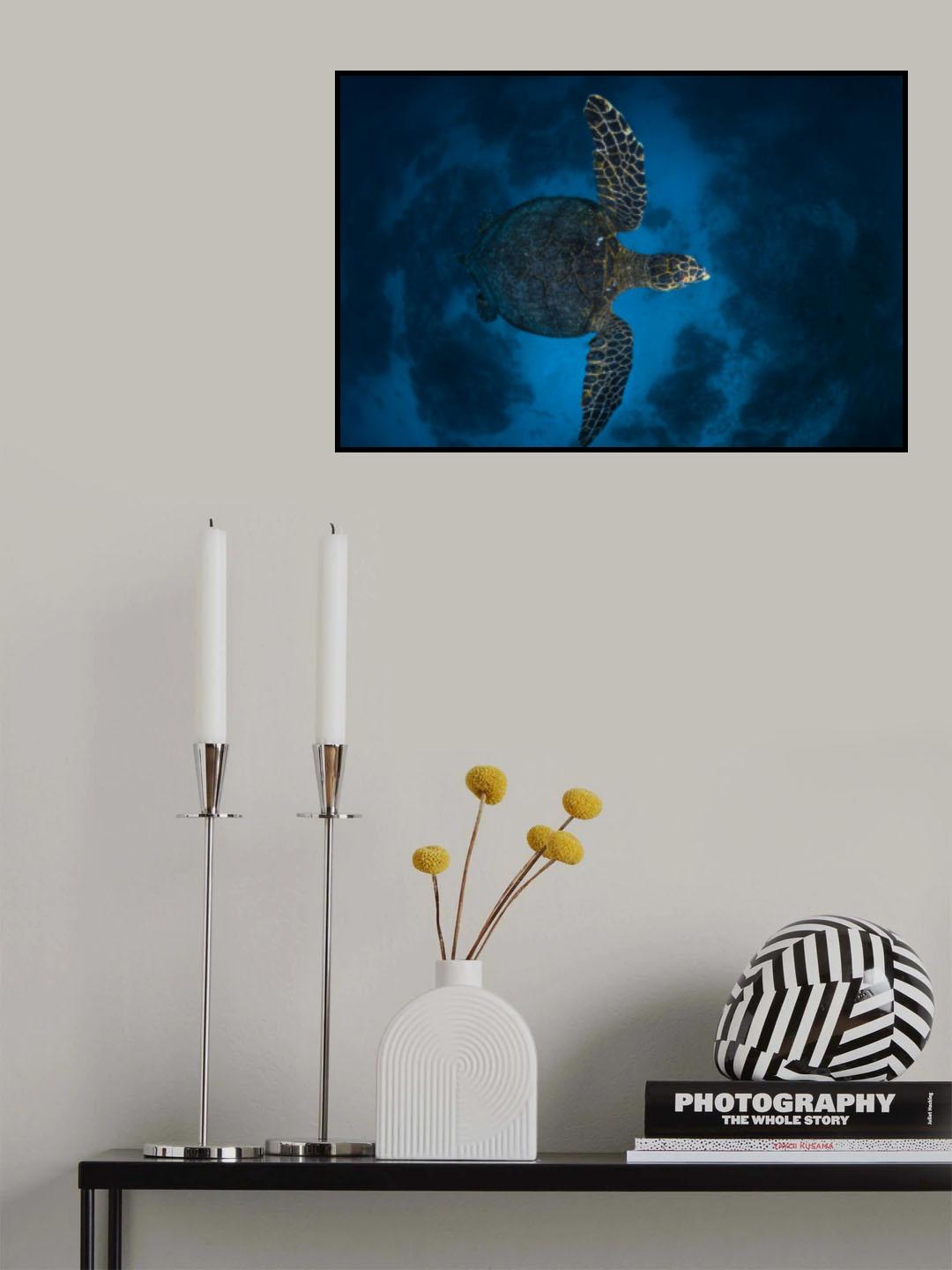Fly over the reef Poster och Canvastavla