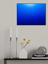 Into the blue Poster och Canvastavla