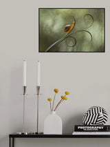 Snail and Leaves Poster och Canvastavla