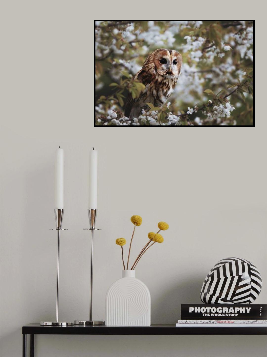Spring time Poster och Canvastavla