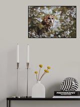 Spring time Poster och Canvastavla