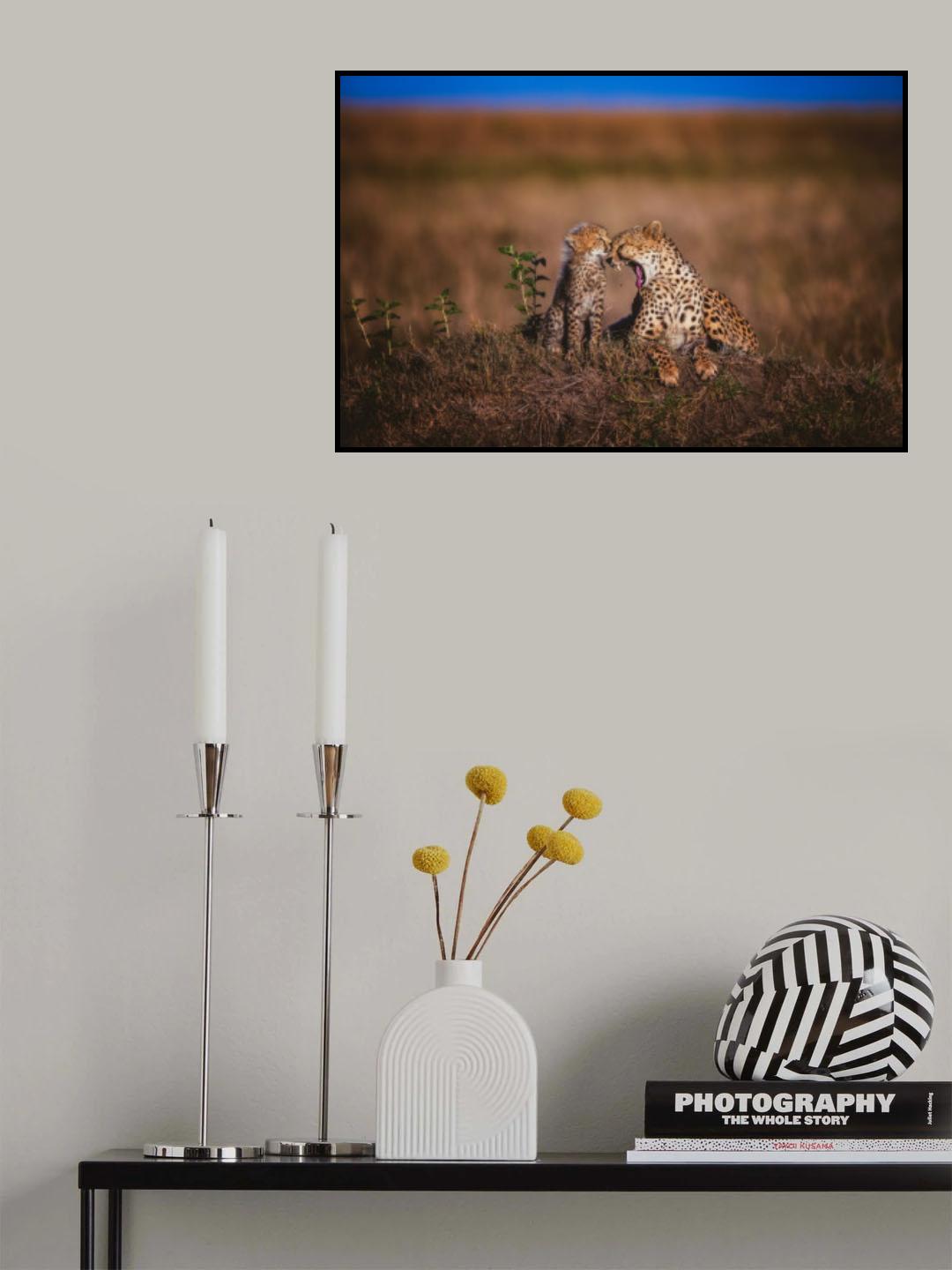 Buzzed Bee Poster och Canvastavla