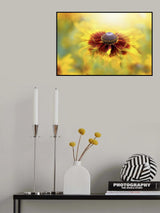 Autumn Glow Poster och Canvastavla