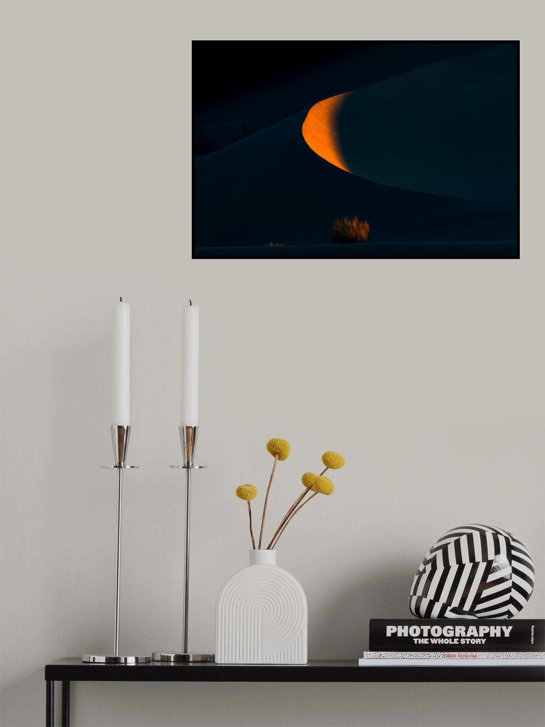 Moon and bush Poster och Canvastavla