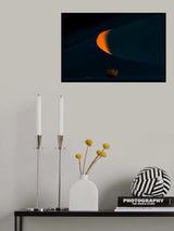 Moon and bush Poster och Canvastavla