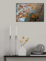 Autumn Poster och Canvastavla