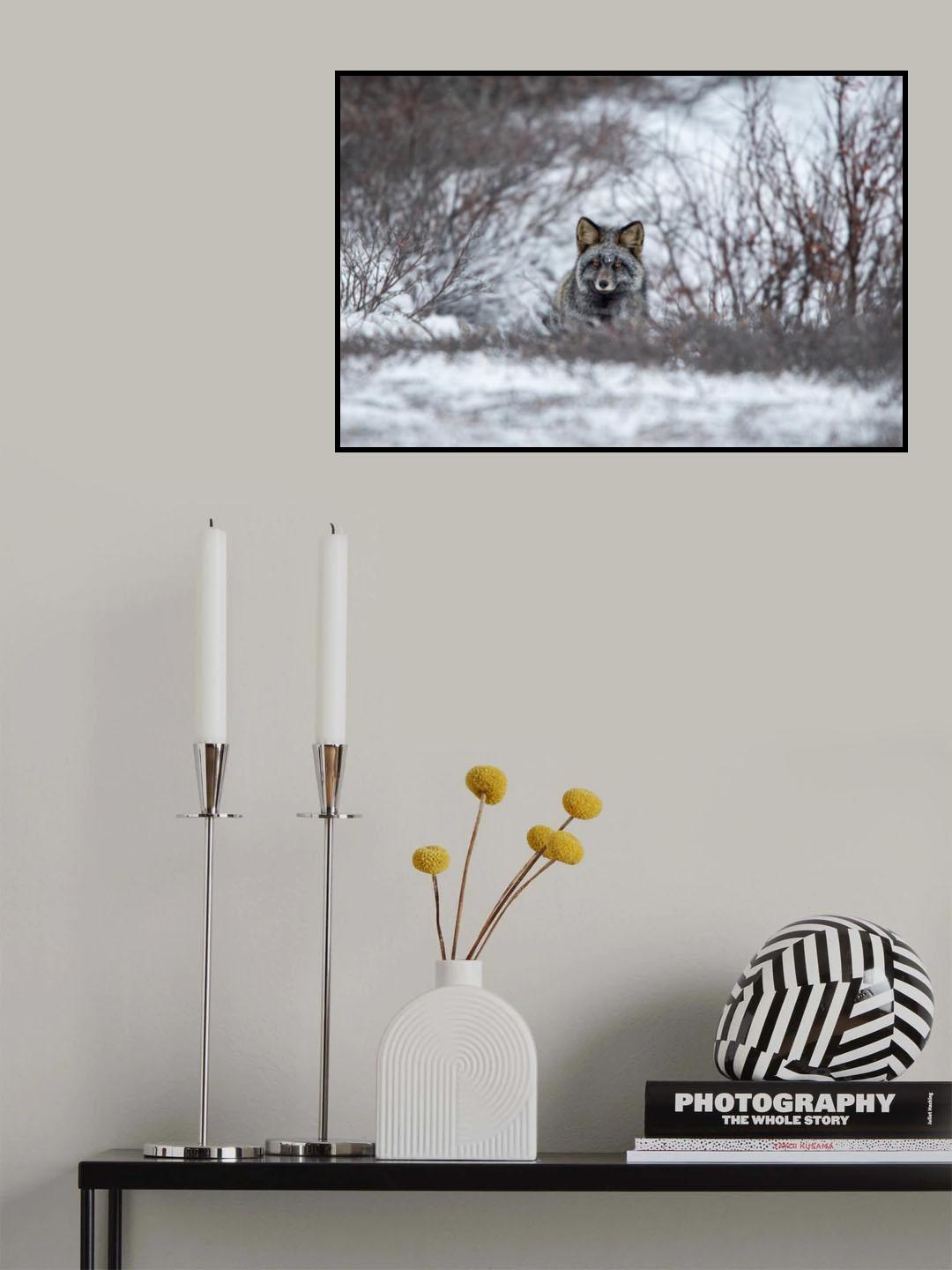 Try to Catch Me Poster och Canvastavla