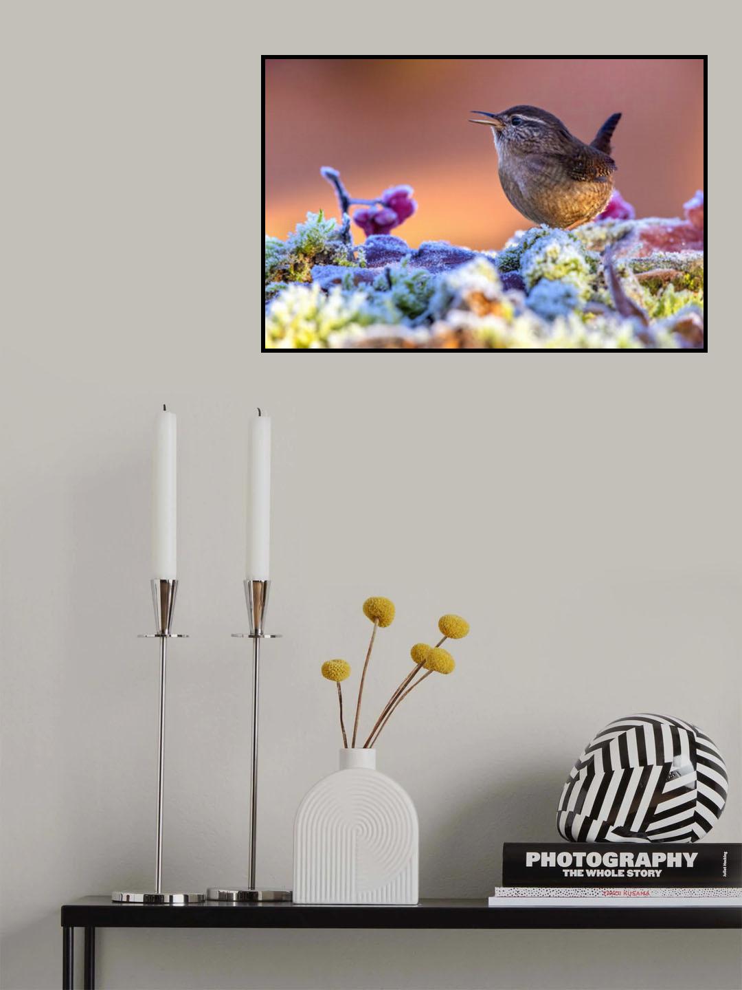 Wren in the ice Poster och Canvastavla