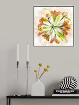 Around the center Poster och Canvastavla