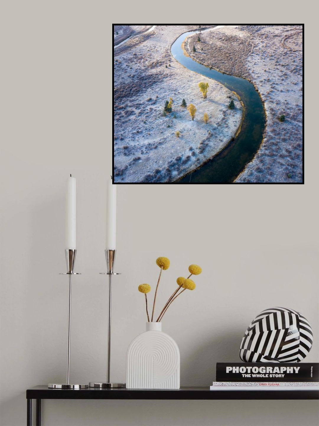 5 Cottonwood trees Poster och Canvastavla