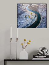5 Cottonwood trees Poster och Canvastavla