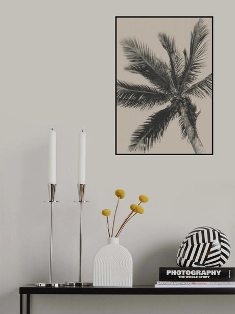 Palm Tree Poster och Canvastavla