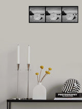 The wheel of life Poster och Canvastavla