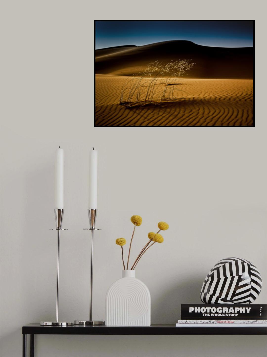 seed&amp;sand Poster och Canvastavla