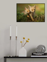 Poster och Canvastavla