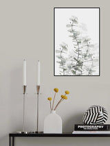 Eucalyptus Creative 15 Poster och Canvastavla