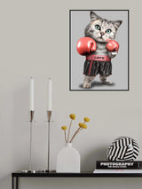 boxing cat Poster och Canvastavla