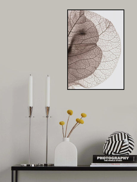 Bougainvillea Island Poster och Canvastavla