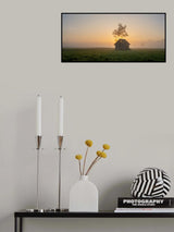 Dawn Poster och Canvastavla